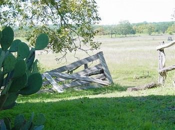 Back Forty Of Fredericksburg Bed and Breakfast Εξωτερικό φωτογραφία